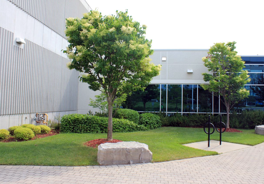 Commercial Maintenance and Landscaping