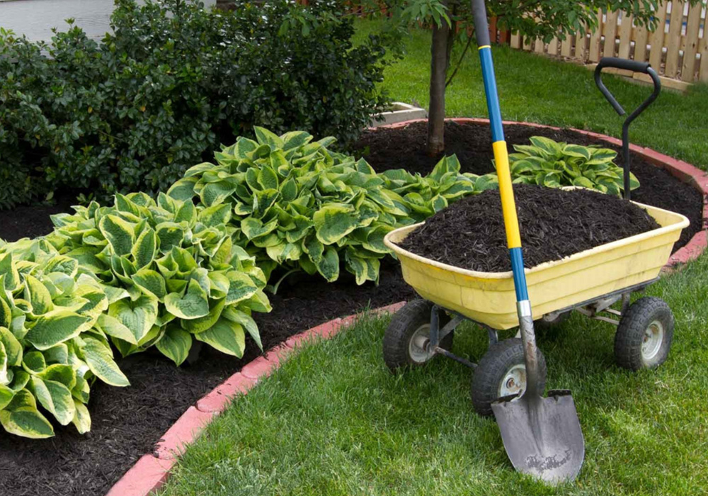 Why Mulching Is Important for your garden LGMP